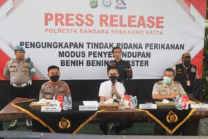 Polresta Bandara Soetta Gagalkan Penyelundupan Ribuan Bibit Lobster ke Luar Negeri