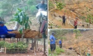 Penanaman Pohon Lahan Tidak Produktif di Desa Bantar Karet H. Wili Sangat Peduli Dengan Lingkungannya