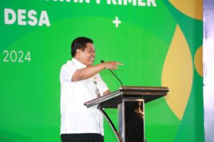 Sekjen Kemendagri Tekankan Pentingnya Pemda Perhatikan Pelayanan Kesehatan Primer