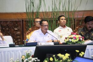 Mendagri Minta Pemda Susun Regulasi Terkait Karhutla