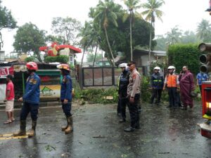 Polsek Ciawi Bersama Instansi Terkait Lakukan Evakuasi Pohon Tumbang Jalan Raya Puncak Bogor