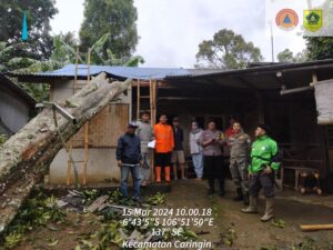 Polsek Caringin Bersama Instansi Terkait Dan Warga Masyarakat Sekitar Bantu Evakuasi Satu Rumah Tertinpa Pohon Tumbang