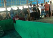 Judi Sabung Ayam Marak di Kab.Kediri dan Kota Batu, Pengamat Kepolisian Didi Sungkono Minta Polri Tegas Tangani