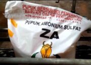 Pekerja Outsourcing PT Petrokimia Gresik di Upah Satu Juta Sebulan