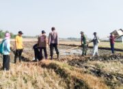 Tekan Hama Tikus, Babinsa Koramil Kalitidu Bojonegoro bantu Petani Pasang Rubuha