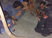 Tim Respon Cepat Polrestabes Surabaya Tangkap Enam Kelompok Gengster ‘Tim Spontan