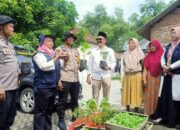 Penyerahan Bibit Tanaman dan Penyuluhan Ketahan Pangan di Desa Kemangsen Balongbendo