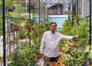 Kelurahan Jurang Manggu Timur Punya Green House