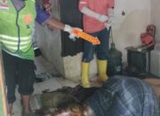 Geger ! Warga Temukan Mayat Perempuan Membusuk di Rumah