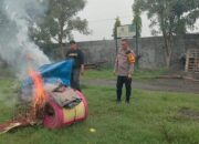 Polsek Krian Grebek Arena Sabung Ayam