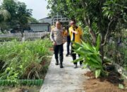 Wakapolresta Sidoarjo Tinjau Pelaksanaan Ketahanan Pangan di Desa Ponokawan Krian