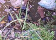Geger !!! Warga Desa Cangkring Turi Prambon Dikejutkan Mayat Mengapung