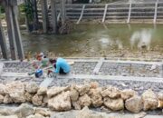 CV Bentang Dimensi Dipertanyakan Kinerjanya di Proyek Rehabilitasi Perkuatan Tebing Jembatan Ngaglik Bojonegoro Retak