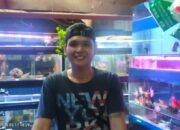 Ikan Hias Terlengkap di Tangsel ada Di Ikan Hias Emon