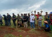 Jaga Keseimbangan Alam Masyarakat Desa Iwul Dan WALHI Jawa Barat Serta Aktivis Lingkungan Lakukan Penanaman Tiga Ribu Pohon Di Lahan PTPN XI