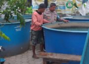 Polsek Sedati Motivasi Warga Manfaatkan Lahan Pekarangan untuk Budidaya Lele
