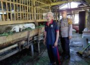 Bhabinkamtibmas Desa Kemantren Cek Lahan P2B untuk Swasembada Pangan Mandiri