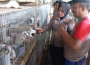 Dukung Ketahanan Pangan, Polisi di Sidoarjo Budidaya Ikan dan Kelinci