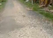 Masyarakat Geram! Kualitas Proyek Jalan Desa Nepa Sampang Baru Selesai Dikerjakan Sudah Hancur