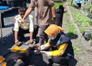 Diduga Mengantuk Pengendara Suzuki Shogun Beserta Motornya Masuk Ke Sungai