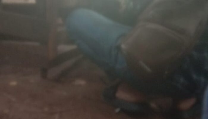 Dugaan Praktik Judi Sabung Ayam di Kampung Pasir Angin, Polsek Cigudeg Diduga Terima Uang Upeti