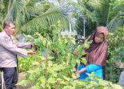 Aiptu Sulaiman Dampingi Petani Rawat Tanaman Terong Wujud Nyata Dukung Ketahanan Pangan