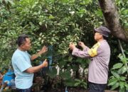 Polri Dukung Ketahanan pangan nasional, Bhabinkamtibmas Kelurahan Taman Aktif Sambangi Perkebunan Warga