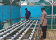 Bripka Achmad Hariyadi Ajak Petani Tingkatkan Budidaya Tanaman Hidroponik Demi Ketahanan Pangan Nasional